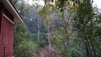 Falling Waters Munnar Exterior photo