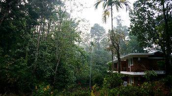 Falling Waters Munnar Exterior photo