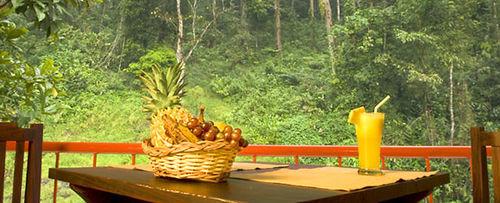 Falling Waters Munnar Exterior photo